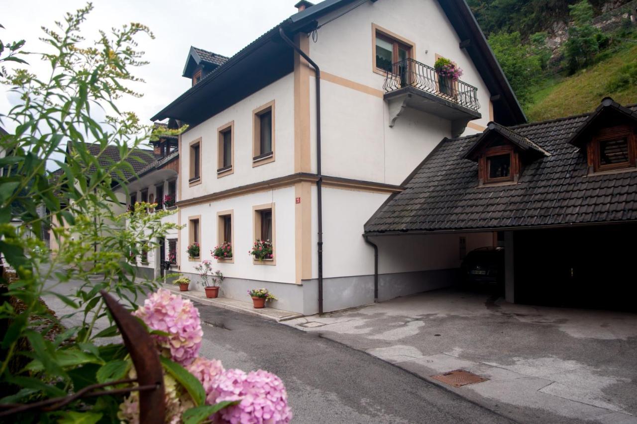 Apartma Ajda Zelezniki Luaran gambar